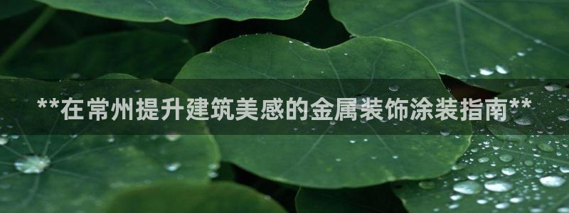 美高梅会员卡等级怎么看