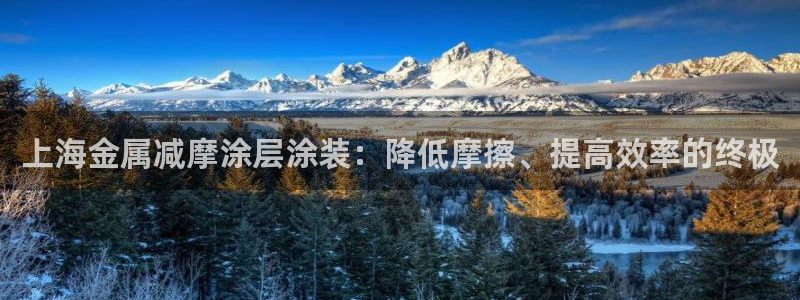 美高梅酒店空中海洋秀