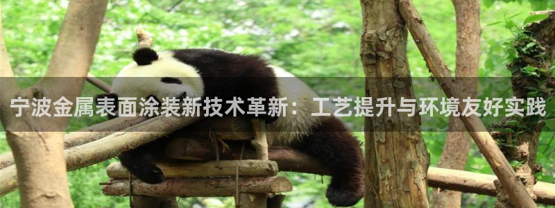 美高梅充值多少钱能提现