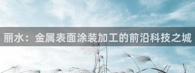 美高梅酒店哪个城市