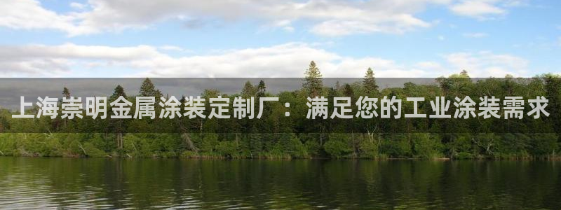 美狮美高梅酒店黑卡400餐卷